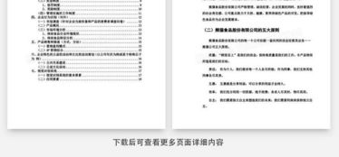 营销策划书的撰写艺术 从方案到落地的实用指南